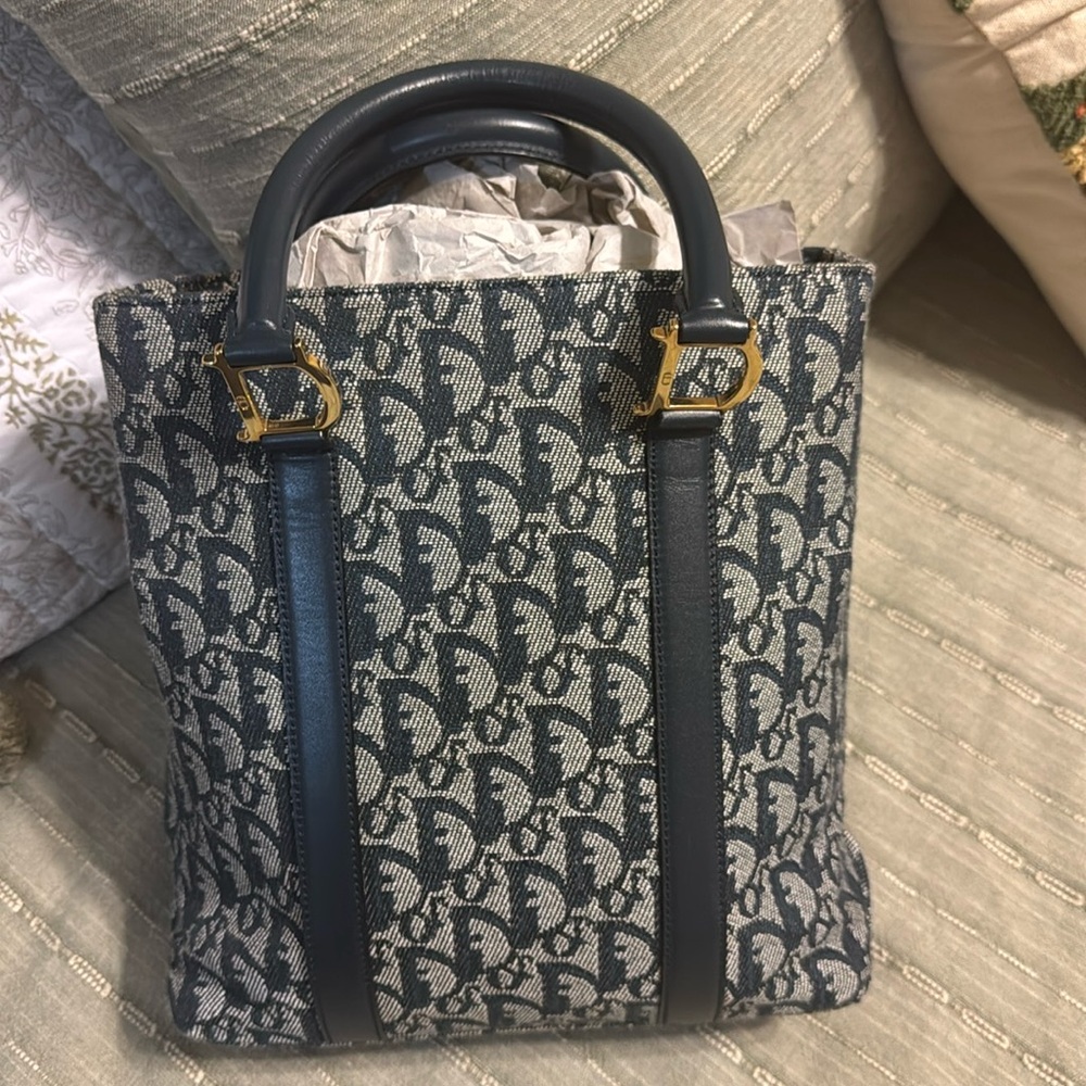 Dior trotter bag